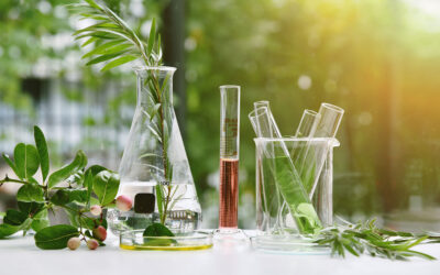 The Dirt on Toxic Cosmetics