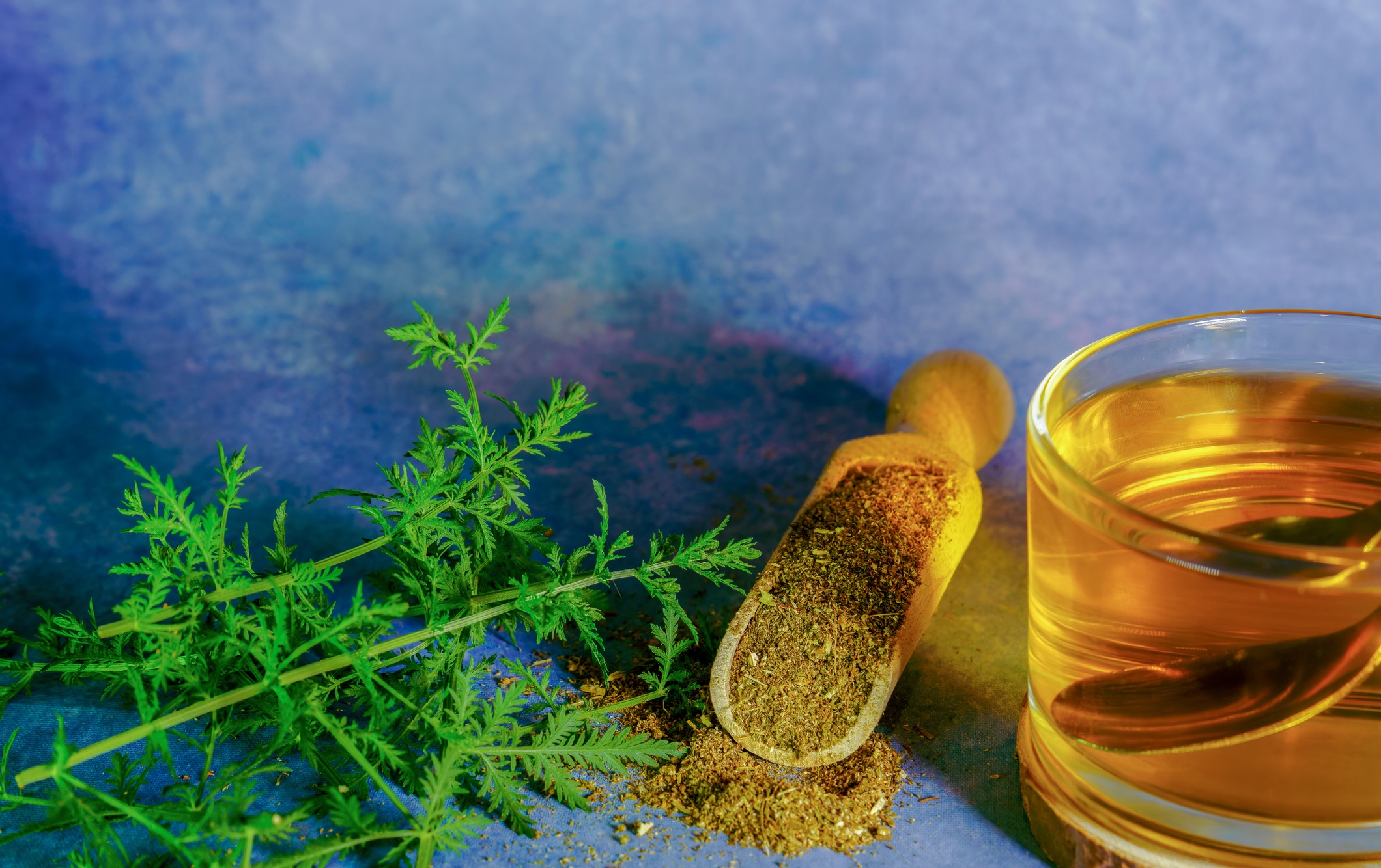 A fresh green herb, a wooden scoop filled with ground spice, and a glass cup of yellow herbal tea are arranged on a blue surface with a blue-purple background.