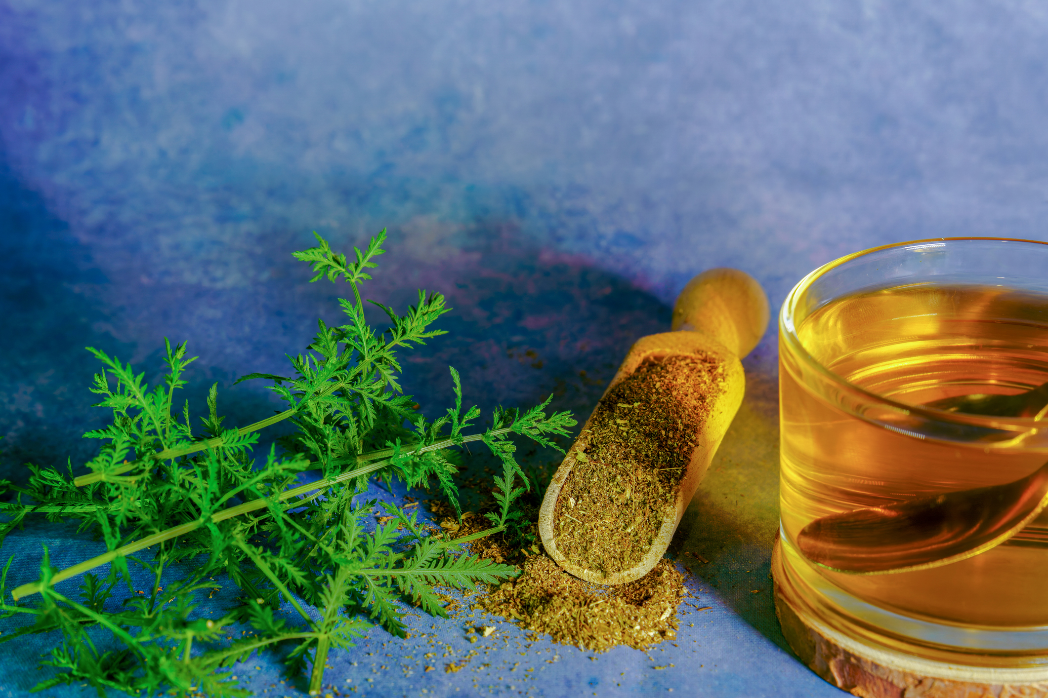 A sprig of fresh green herbs, a wooden scoop filled with ground spice, and a glass cup of golden tea with a spoon, arranged on a blue surface with a matching blue background.