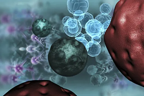 Illustration of various cells, including round blue and dark green cells, surrounded by a network of translucent structures, with reddish-brown cell surfaces in the foreground. The background is bluish and blurred. Illustration of various cells, including round blue and dark green cells, surrounded by a network of translucent structures, with reddish-brown cell surfaces in the foreground. The background is bluish and blurred.