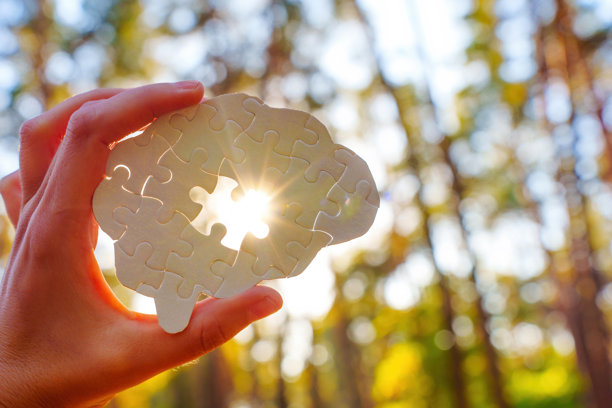 A hand holds up a brain-shaped puzzle with a missing piece, letting sunlight shine through the gap. Blurred trees and bright sunlight are visible in the background.